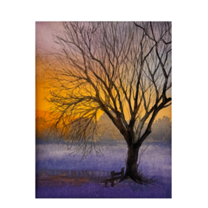 Where the Light Fades