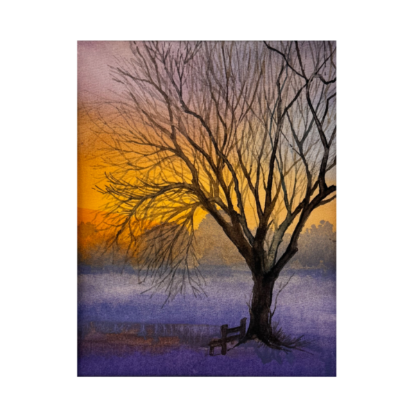 Where the Light Fades