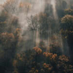 banner-1-gallery-1-7