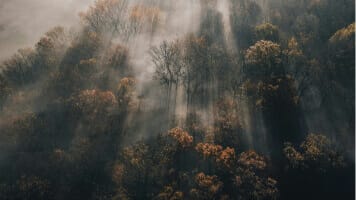 banner-1-gallery-1-7